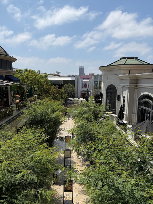 A FRIEND MADE. America trip【shopping&drinking】